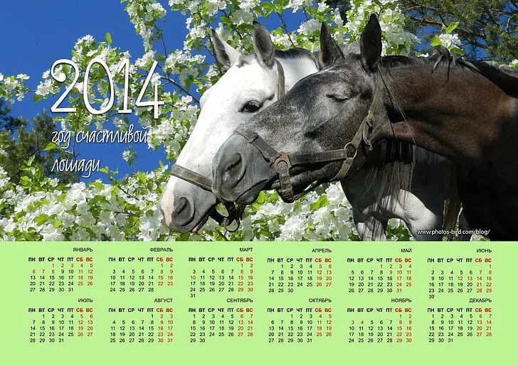 1 квартал 2015