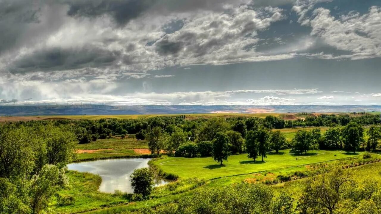 Реки леса океаны леса и поля. Река в поле. Природа поле река. Леса поля реки. Поле речка лес.