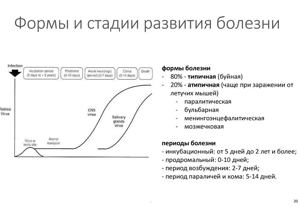 Описание развития болезни. Формы и периоды развития болезней. Формы и периоды (стадии) развития болезней.. Этапы развития заболевания. Формы заболевания на стадиях.