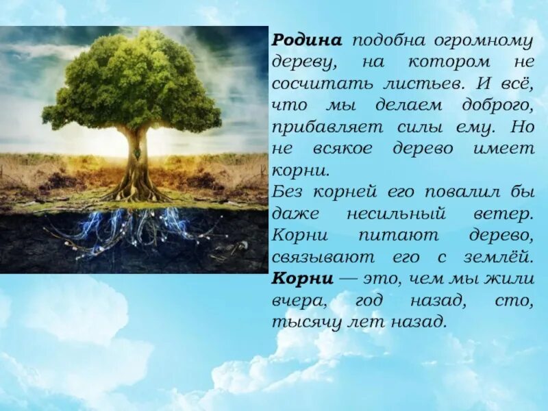 Подобно дереву. Родина подобна огромному дереву на котором. родина подобна огромному дереву на котором не сосчитать листьев. родине дерево. человек без родины что дерево без корней.
