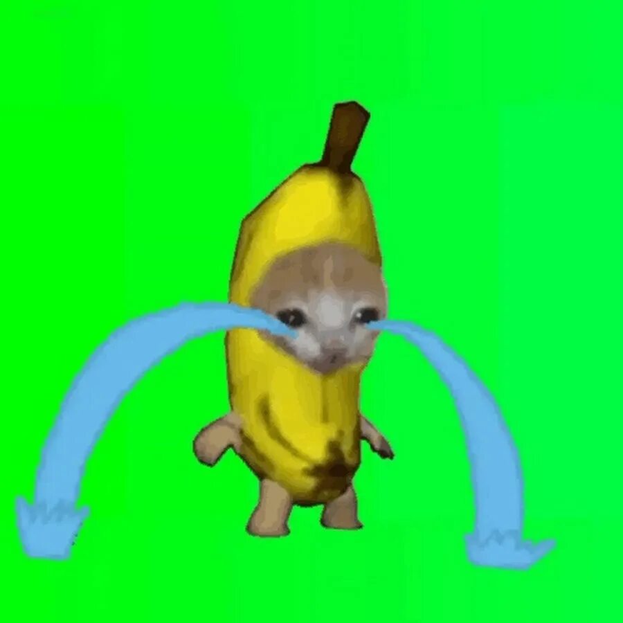 Как выглядит кот банан Pin em Banana funny Rostos de meme, Memes hilários, Memes engraçados