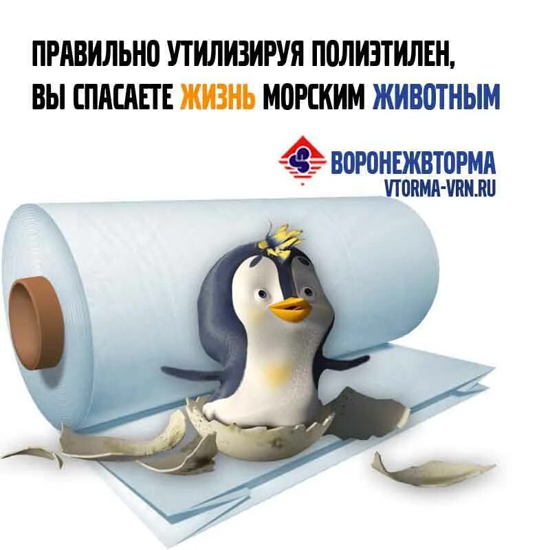 Пленка полиэтилен 200 мкм пвд. Техническая. Пленка зеленая 3м х 100м тепличная полиэтиленовая 100мкм. Пленка полиэтиленовая 200 мкм. Пленка полиэтиленовая 200 мкм (в м).