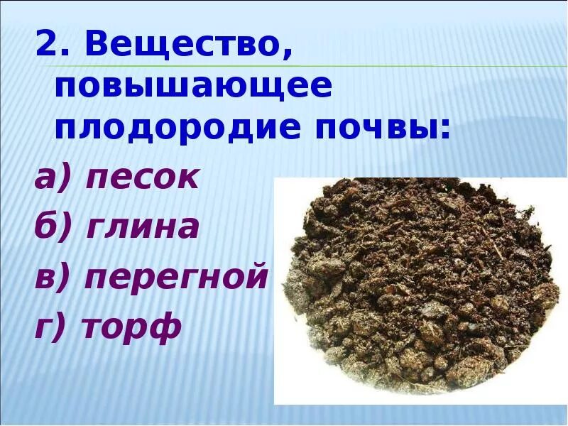 Повышение плодородие почвы называется. Вещество повышающее плодородие почвы. Что повышает плодородие почвы. Перегной окружающий мир. Перегной вещество почвы.