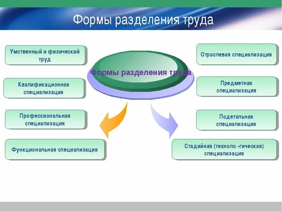 Основными формами разделенными