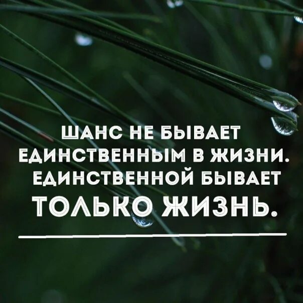 Шанс на жизнь читать. Шанс не бывает единственным в жизни единственной бывает только жизнь. Шанс не бывает. Единственной бывает только жизнь. Шанс не бывает единственным.