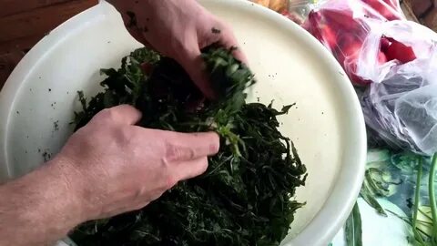 Ферментация чая в морозилке