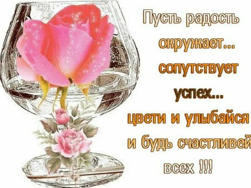 Пусть все жизнь удача