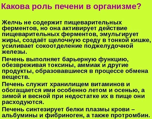 Барьерная функция в организме человека выполняет. В чем заключается барьерная роль печени. Барьерная роль печени. Барьерная функция печени. Какие функции выполняет печньчеловека.