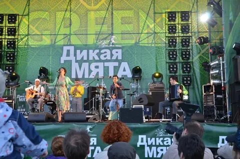 Дикая мята где пройдет