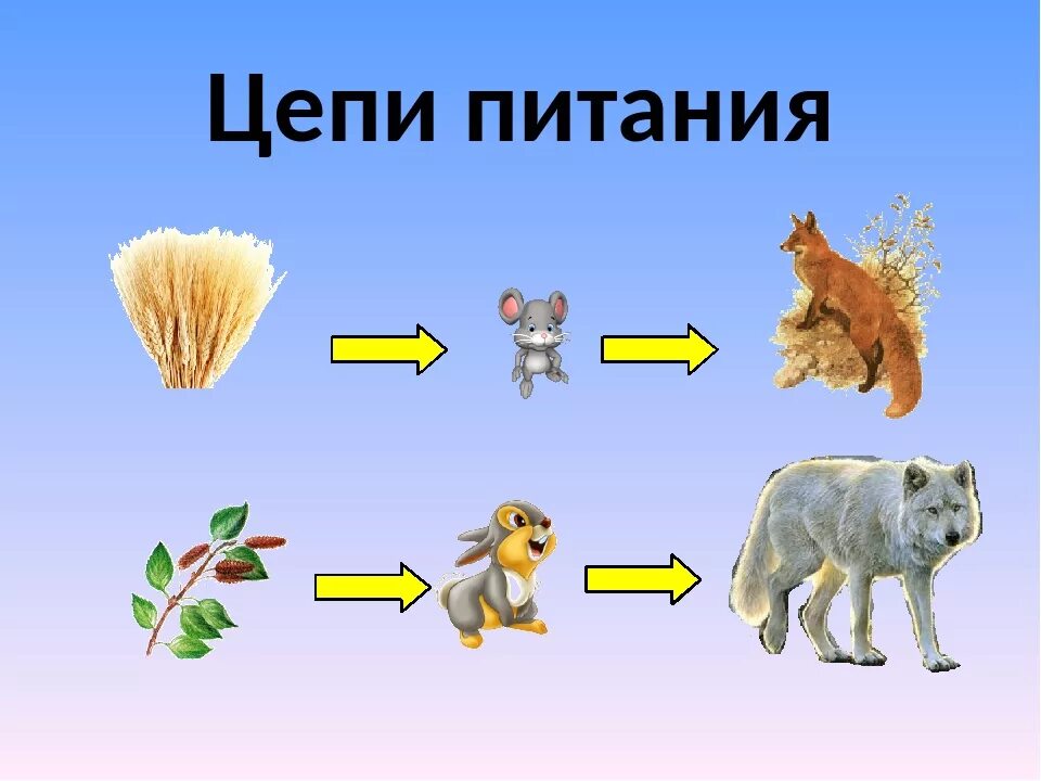 Кто ест пшеницу