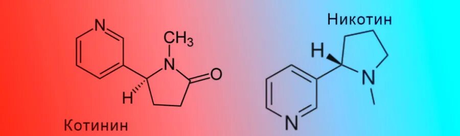 Синтез никотина. Никотин схема. Никотин и никотиновая кислота. Гемоглобин и оксигемоглобин формула. Никотин формула.
