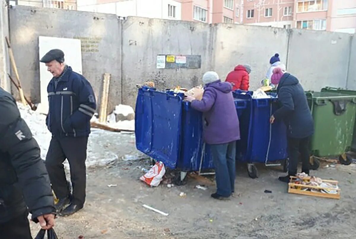 Мусорка тока. Пенсионеры роются в мусорных Баках. Пенсионерки роются в мусорках. Пенсионеры и народ в мусорных Баках.