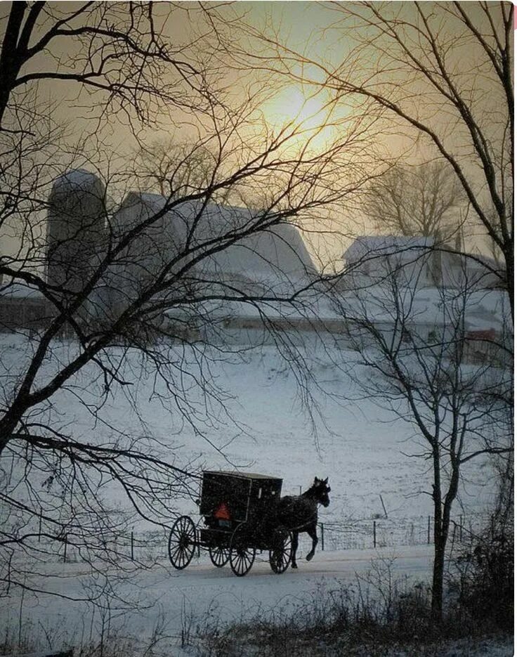 Карета с лошадью. Карета зимой. Карета зимой. Повозка на зимней дороге. Карета зимой.