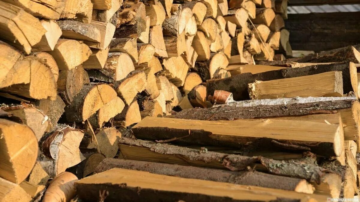 Воровство дров в берензасе. Дрова. Дрова в германии. Колка дров. На траве дрова.