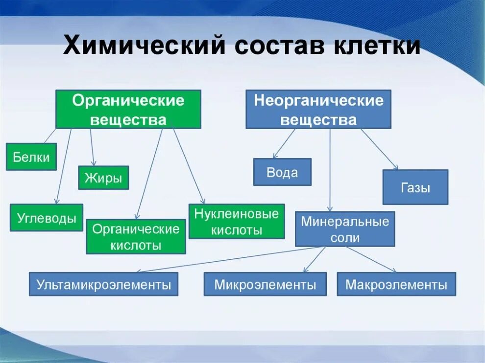 Элементами из которых составлен каждый