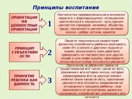 Принципы воспитания это общие