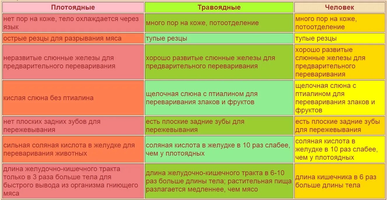 Пищеварение хищных и травоядных. Пищеварительная система плотоядных и травоядных. Кишечник травоядных и хищников. Сравнение хищников и травоядных.