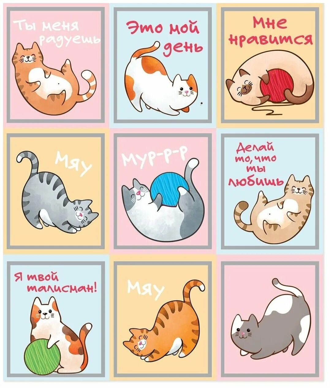 Этикетки коты