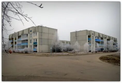 Вязьма брянская