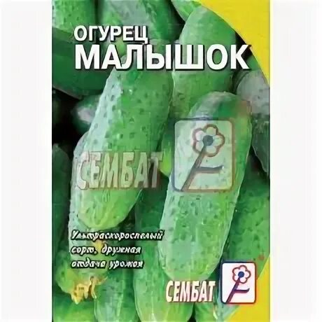 Огурец малышок фото