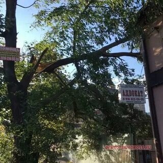 Новороссийска 30