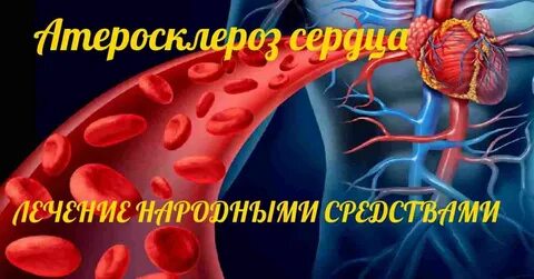 Что пить при атеросклерозе сосудов