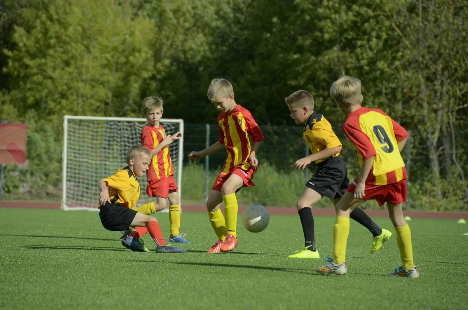 Спортивные секции для детей. Детский спорт. Как выбрать секцию. Как правильно выбрать спортивную секцию для ребёнка. Как выбрать секцию.