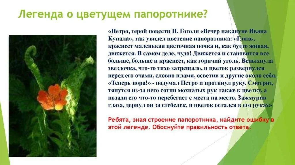 Примеры сказочных растений , которых нет в жизни. Легенда о цветке папоротника. Легенда отпапоротнике. Легенда отпапоротнике. Легенда о папоротнике на ивана купала.