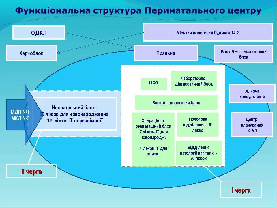 Структура. Структура. Структура отделения перинатального центра. Организационная структура перинатального центра. Структура и организация перинатального центра.