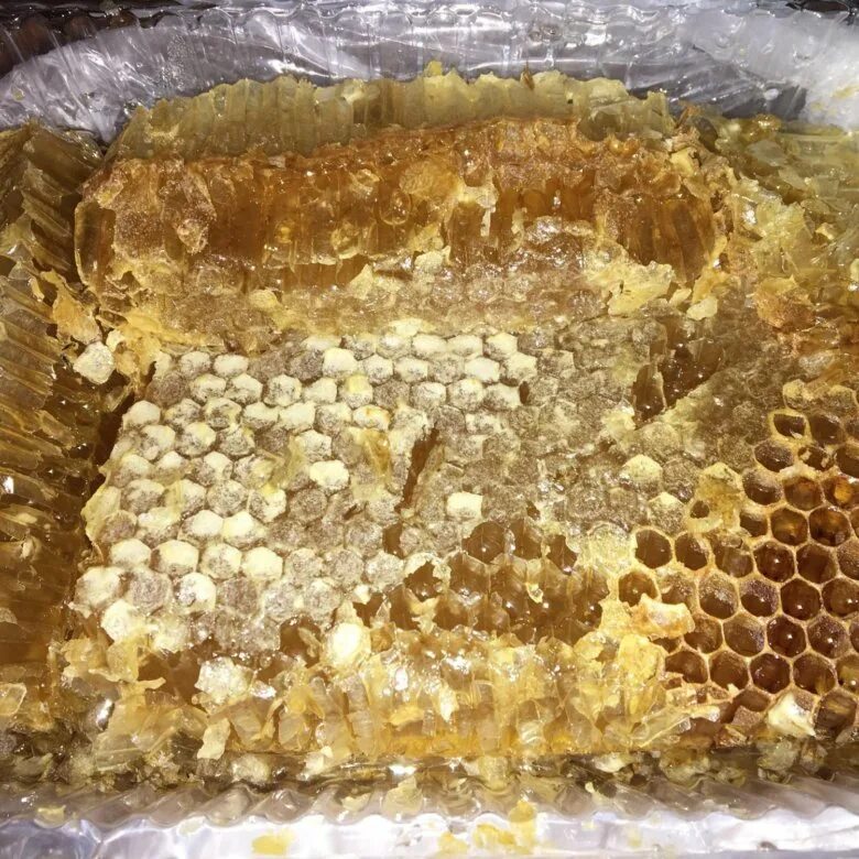 Перга хранение. Мёд в сотах. Перга в сотах. Запакованный мед в сотах. Мед в сотах Казахстан.