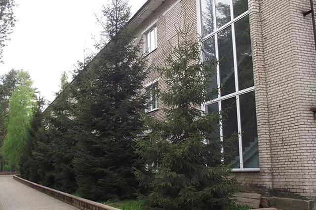 Санаторий голубые озера псковская. Псков голубые озера санаторий. Санаторий голубые озера опухлики. Санаторий опухлики псковская область. Опухлики санаторий голубые.