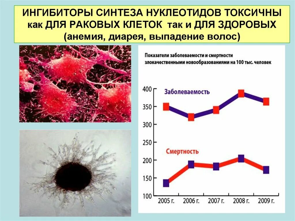 Ингибиторы синтеза нуклеотидов. Синтез нуклеотидов. Выпадение нуклеотида. Ингибирование раковых клеток. Нуклеотид вируса