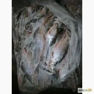 Рыба мороженая или мороженная