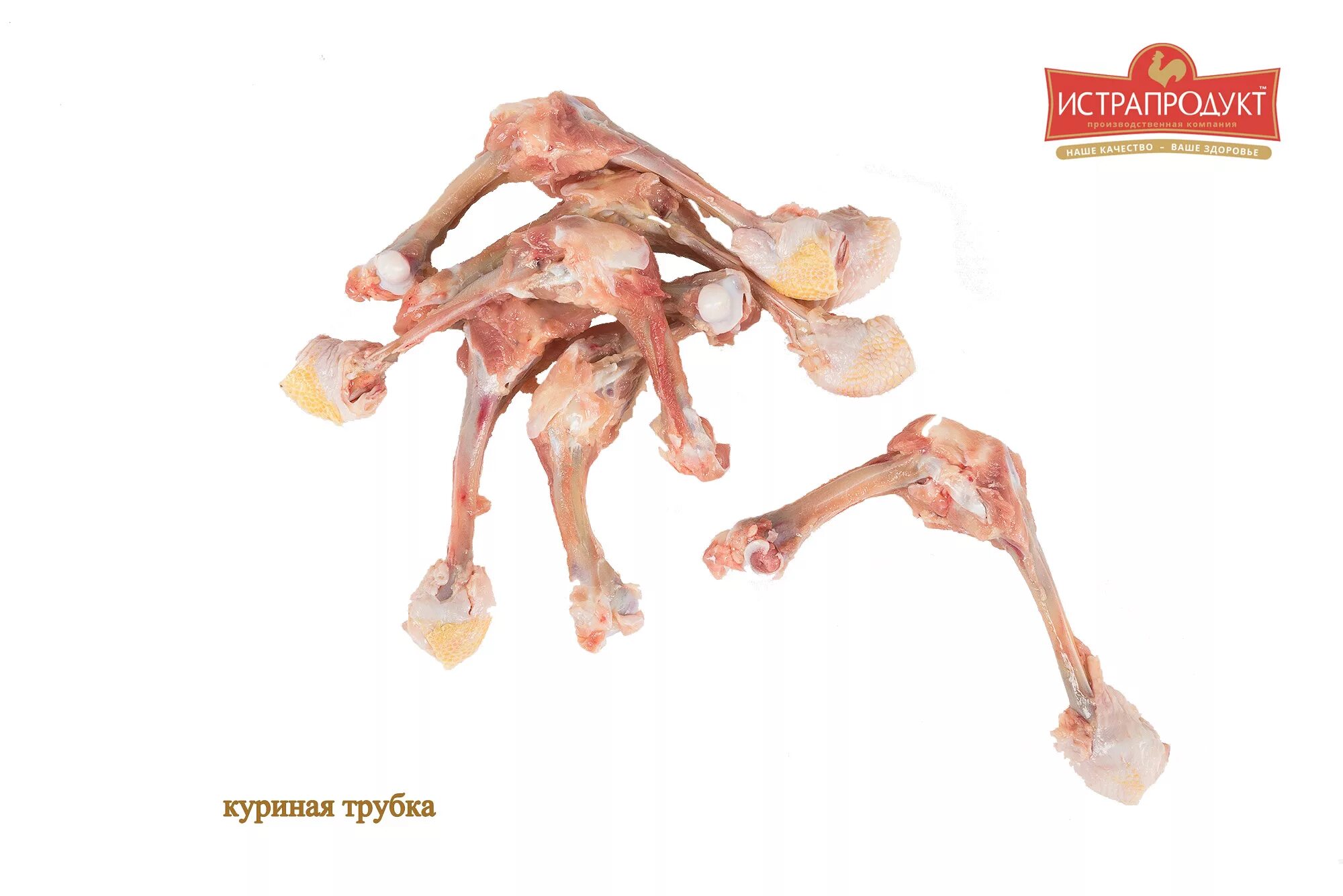 У курицы малая берцовая кость. Костная ткань ребенка. Переломы животных рентген. У цыпленка экспериментаторы удалили фрагмент бедренной кости. У цыпленка экспериментаторы удалили фрагмент бедренной кости.