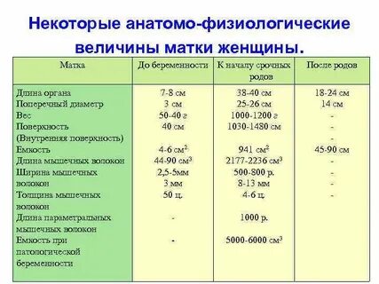 Физиологическая величина