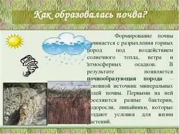 Что такое почва 3. Почва презентация. как формируется почва. как образуется почва. доклад как образуется почва.