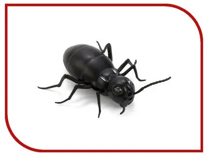 Ant t