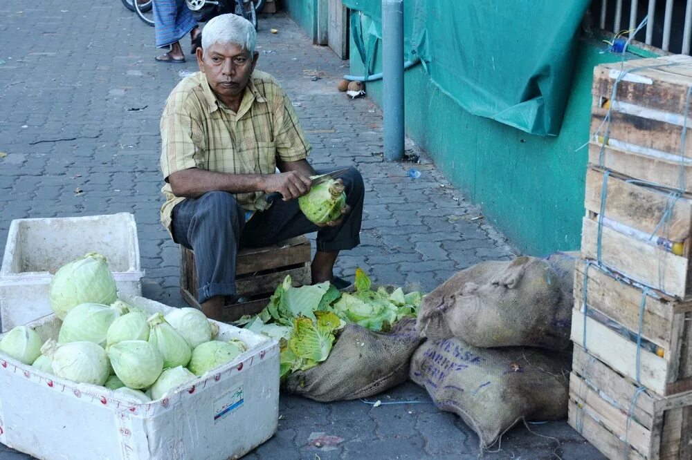 Аватар легенда об аанге продавец капусты. Капуста аватар аанг. Аватар легенда об аанге продавец капусты. Аватар легенда об аанге торговец капустой. Торговец капустой аватар аанг.
