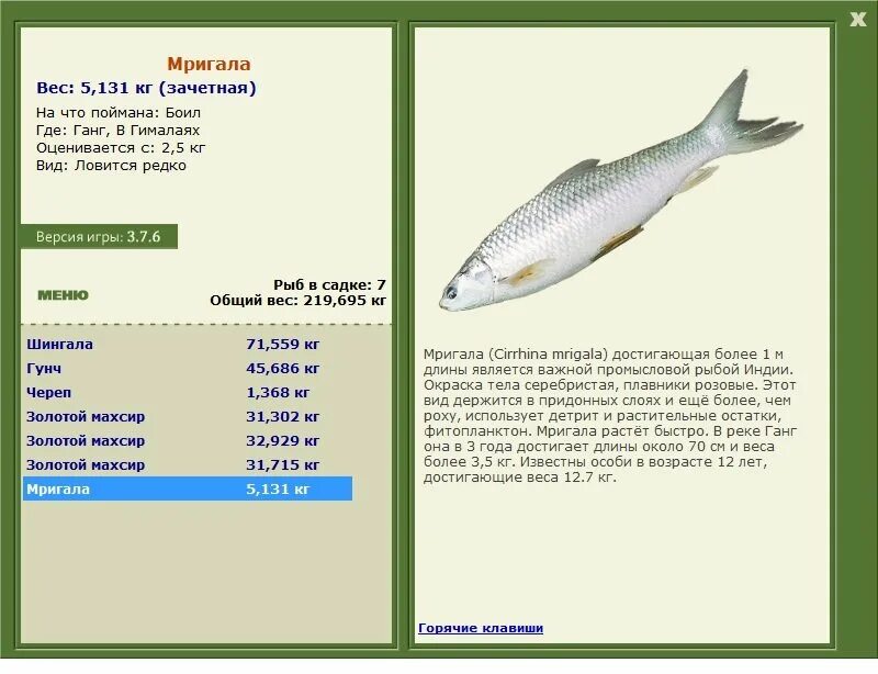 форма 1 рыба. форма 1 рыба. кистеперая рыба латимерия общая характеристика. форма 1 рыба. схема строения рыбы судака.