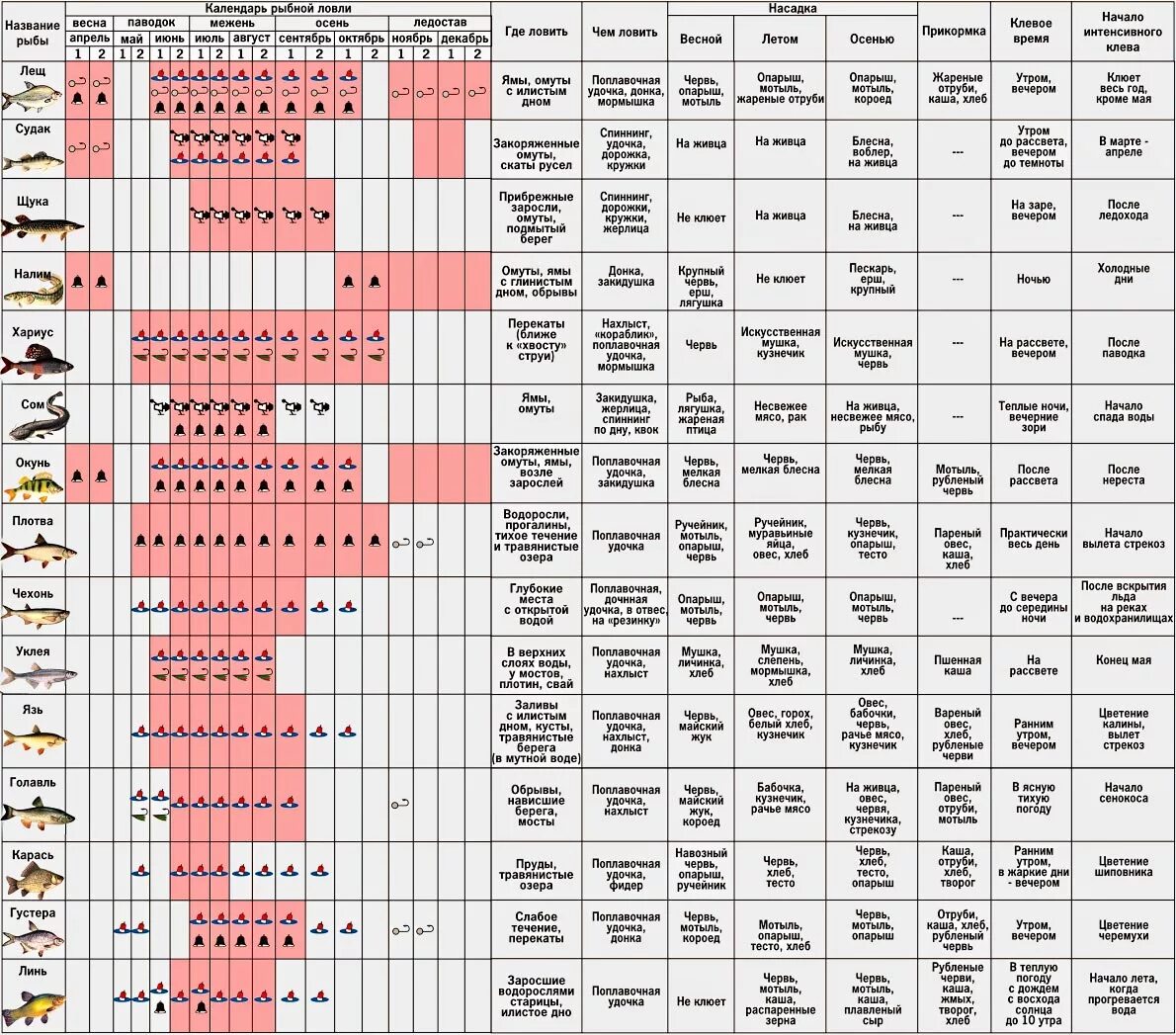 Таблица активности рыбы по месяцам. Таблица давления ловли рыбы зимой. Таблица клева рыбы по месяцам на 2022 год. Финский рыболовный календарь на 2022 год.