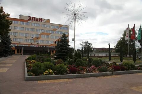 Злин гомель