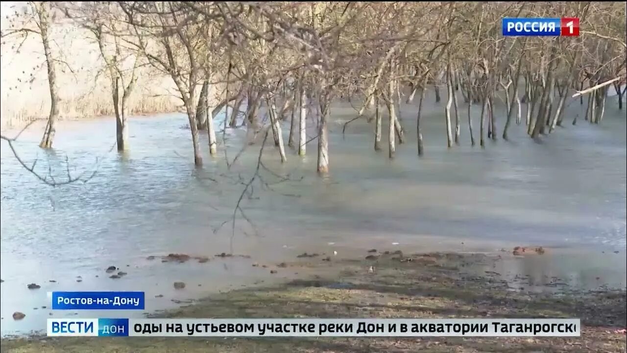 Температура воды в реке дон в ростове. Весенняя река. Подтопление в Ростовской области. Уровень воды в Дону. Высокие дорожки половодье.