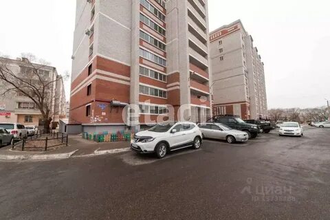 Центральный 104