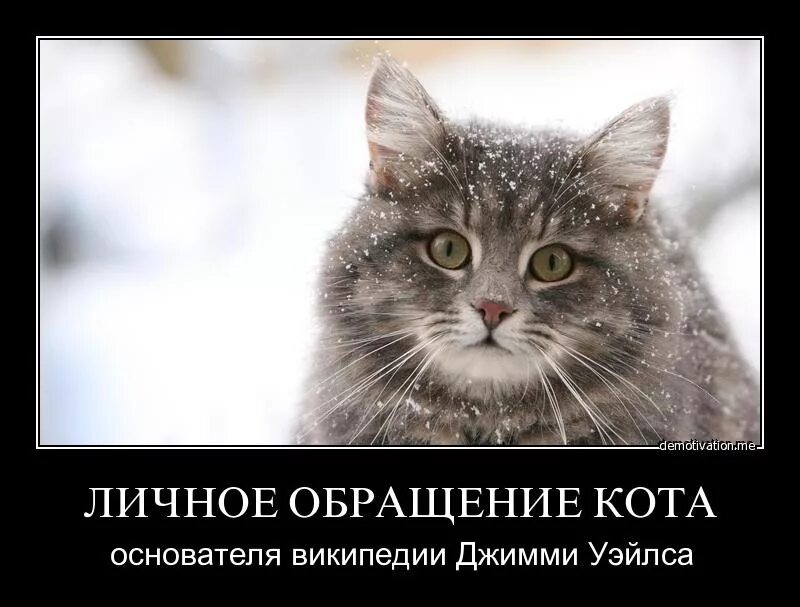 Внимательно читает. Прочтите пожалуйста сообщение. Если прочитали сообщение и не ответили. Внимание обязательно к прочтению. Пожалуйста прочтите.