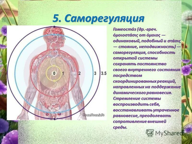 Определниепонятия жинзт. Жизнь определение биология. Почему сложно дать определение. Определниепонятия жинзт. Определение понятия жизнь.