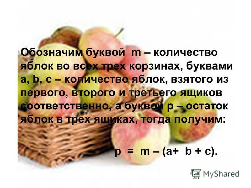 Яблоко в объеме. Сколько лет живет яблоня. Сальдо яблоки. Сколько яблок можно есть в день.