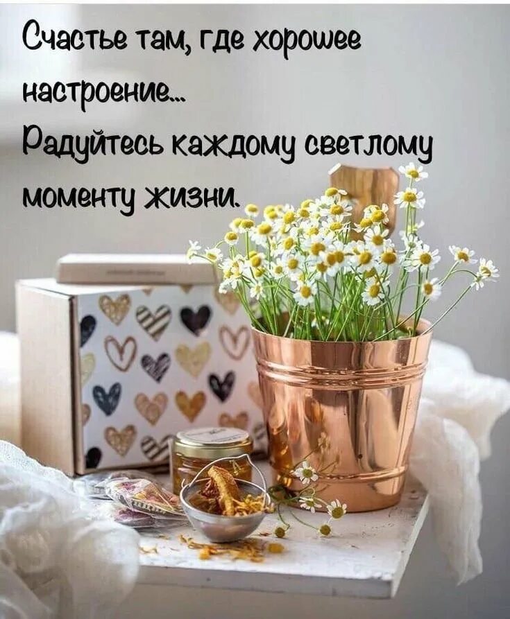 Доброе утро картинки позитивные со смыслом необычные. Доброе утро цитаты. позитивные пожелания с добрым весенним утром. позитивные пожелания на день. доброе утро счастье.