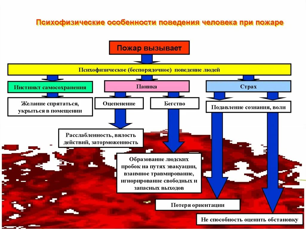 Особенности поведения народов. Особенности поведения людей при пожаре. Психофизические особенности человека. Особенности поведения человека. Психологические особенности поведения человека при пожаре.