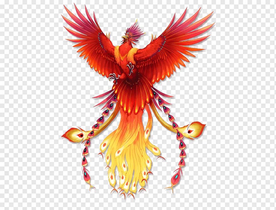 Red phoenix