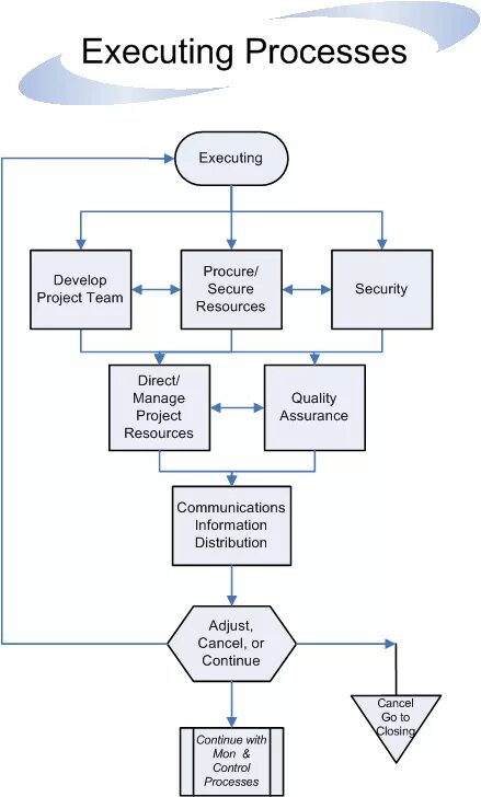 Execute process. Project management process. program execution management. project flow chart. flow chart pmp.